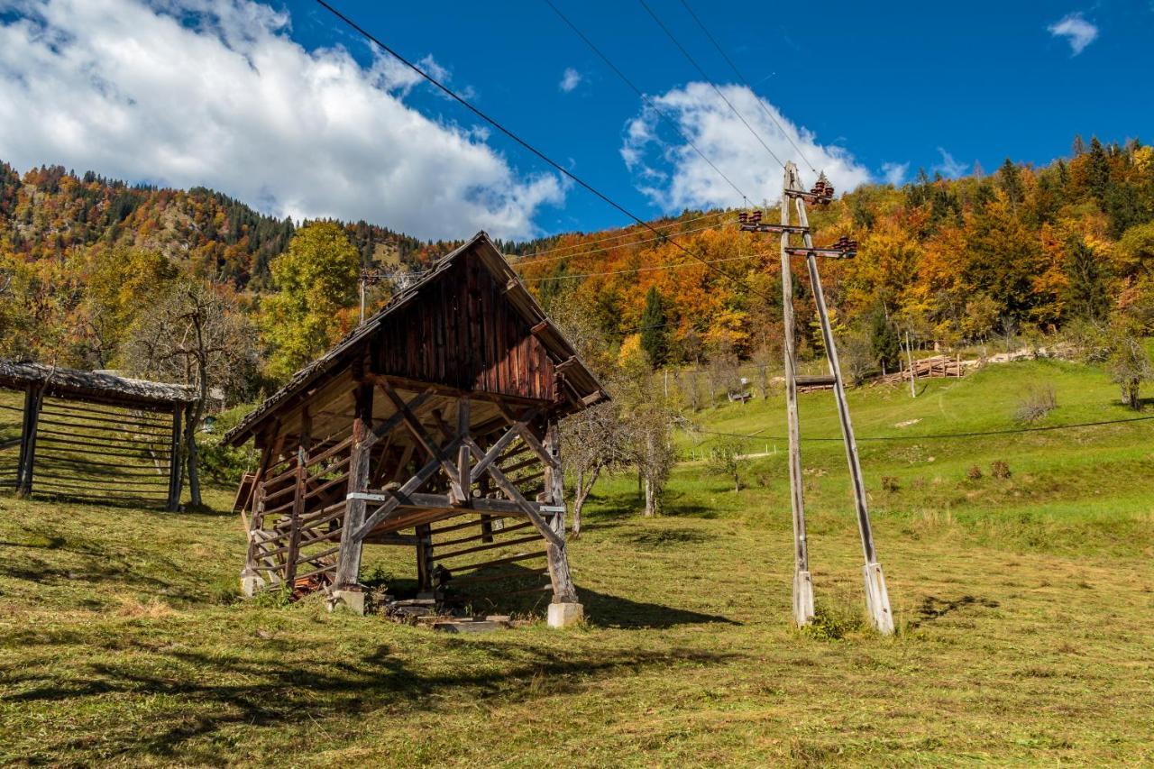 House Pokljuka - Bohinj *